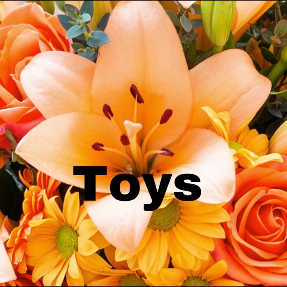Toys!!!